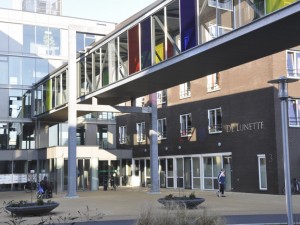 Zomerfeest met boeken- en kleedjesmarkt bij de Lunette